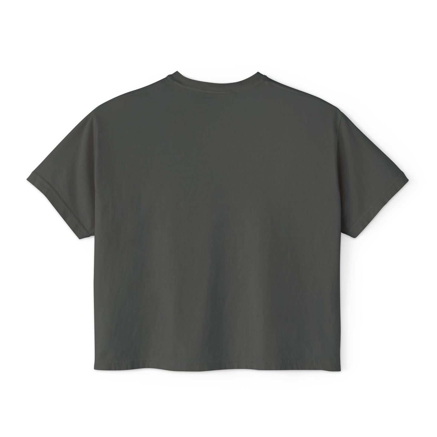 "SLOSW" Stoney Wife Summer Crop Tee | The Secret Lives Of Stoney Wives Podcast Merch | Retro Cropped Boxy Baby Comfort Colors T-Shirt