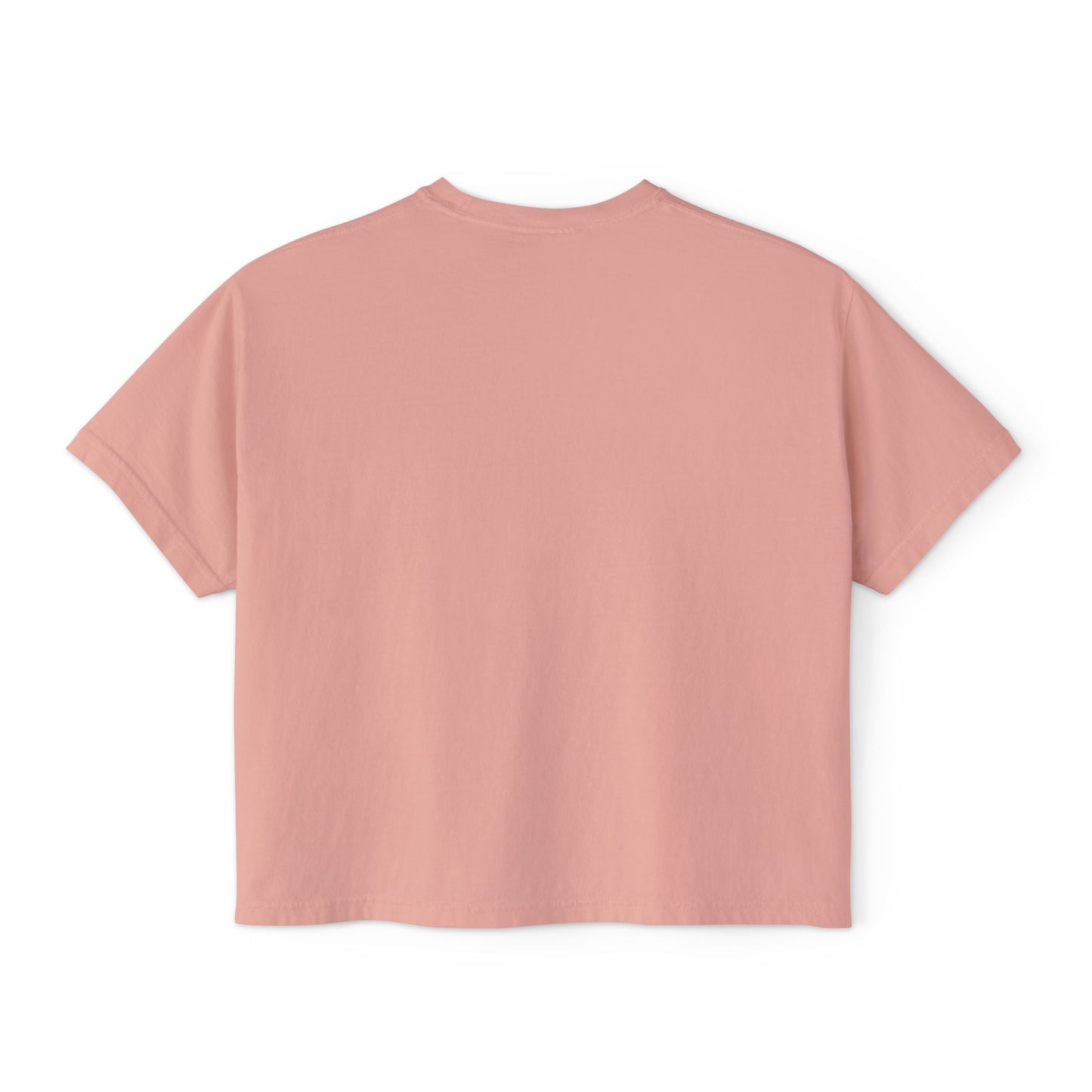 "SLOSW" Stoney Wife Summer Crop Tee | The Secret Lives Of Stoney Wives Podcast Merch | Retro Cropped Boxy Baby Comfort Colors T-Shirt