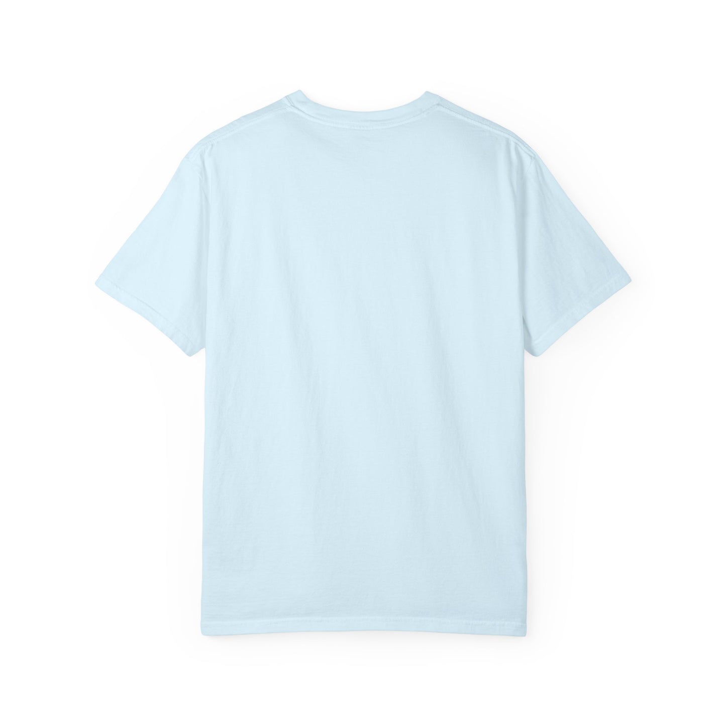 “SLOSW” Stoney Wives Beach Club | Comfort Colors Graphic T-Shirt | The Secret Lives of Stoney Wives Podcast Merch | Retro Summer Tee