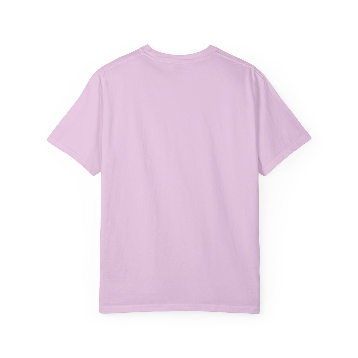 “SLOSW” Stoney Wives Beach Club | Comfort Colors Graphic T-Shirt | The Secret Lives of Stoney Wives Podcast Merch | Retro Summer Tee
