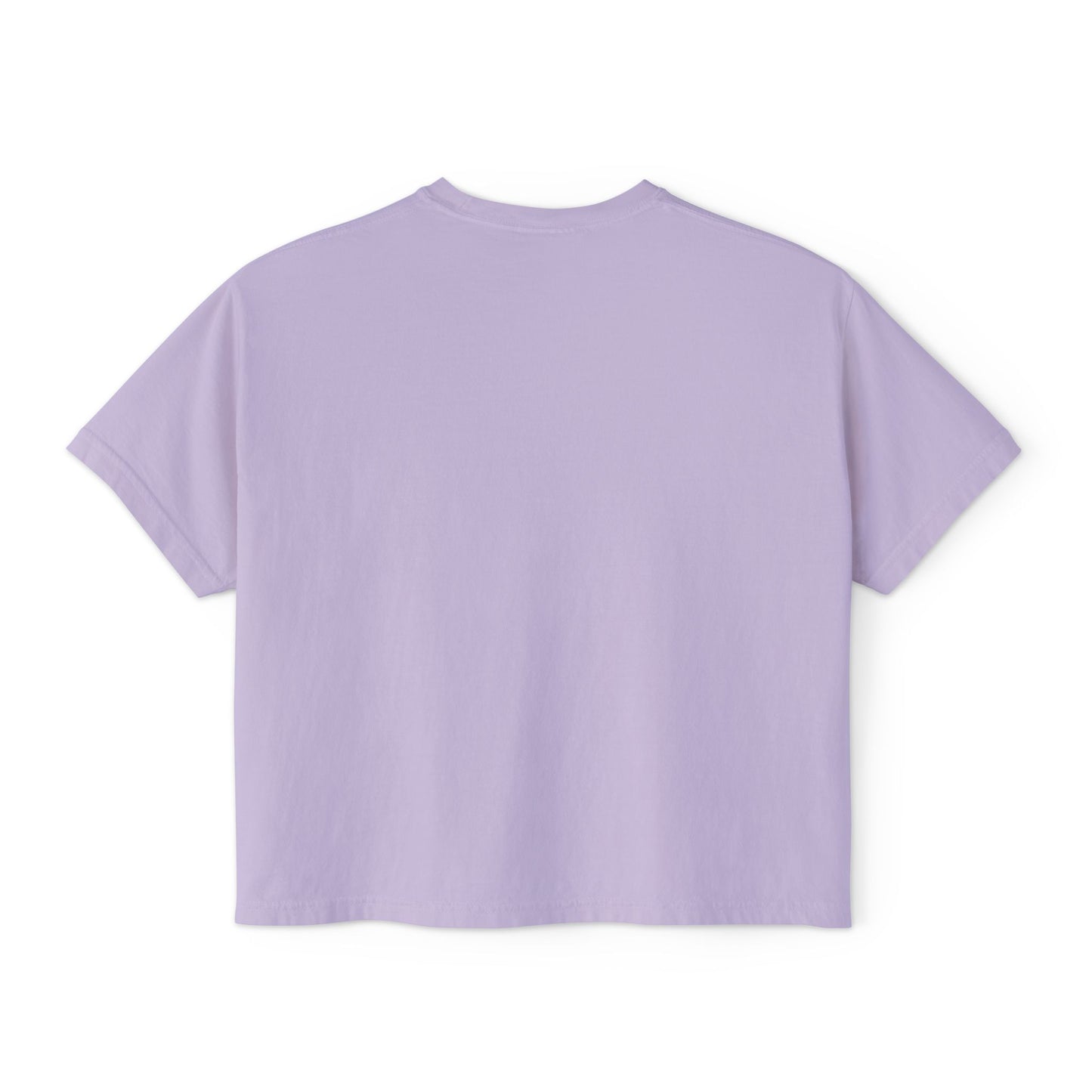 "SLOSW" Stoney Wife Summer Crop Tee | The Secret Lives Of Stoney Wives Podcast Merch | Retro Cropped Boxy Baby Comfort Colors T-Shirt