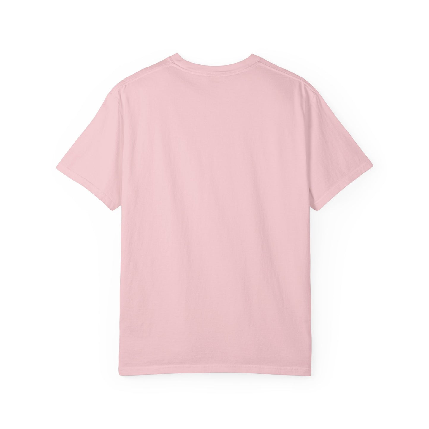“SLOSW” Stoney Wives Beach Club | Comfort Colors Graphic T-Shirt | The Secret Lives of Stoney Wives Podcast Merch | Retro Summer Tee