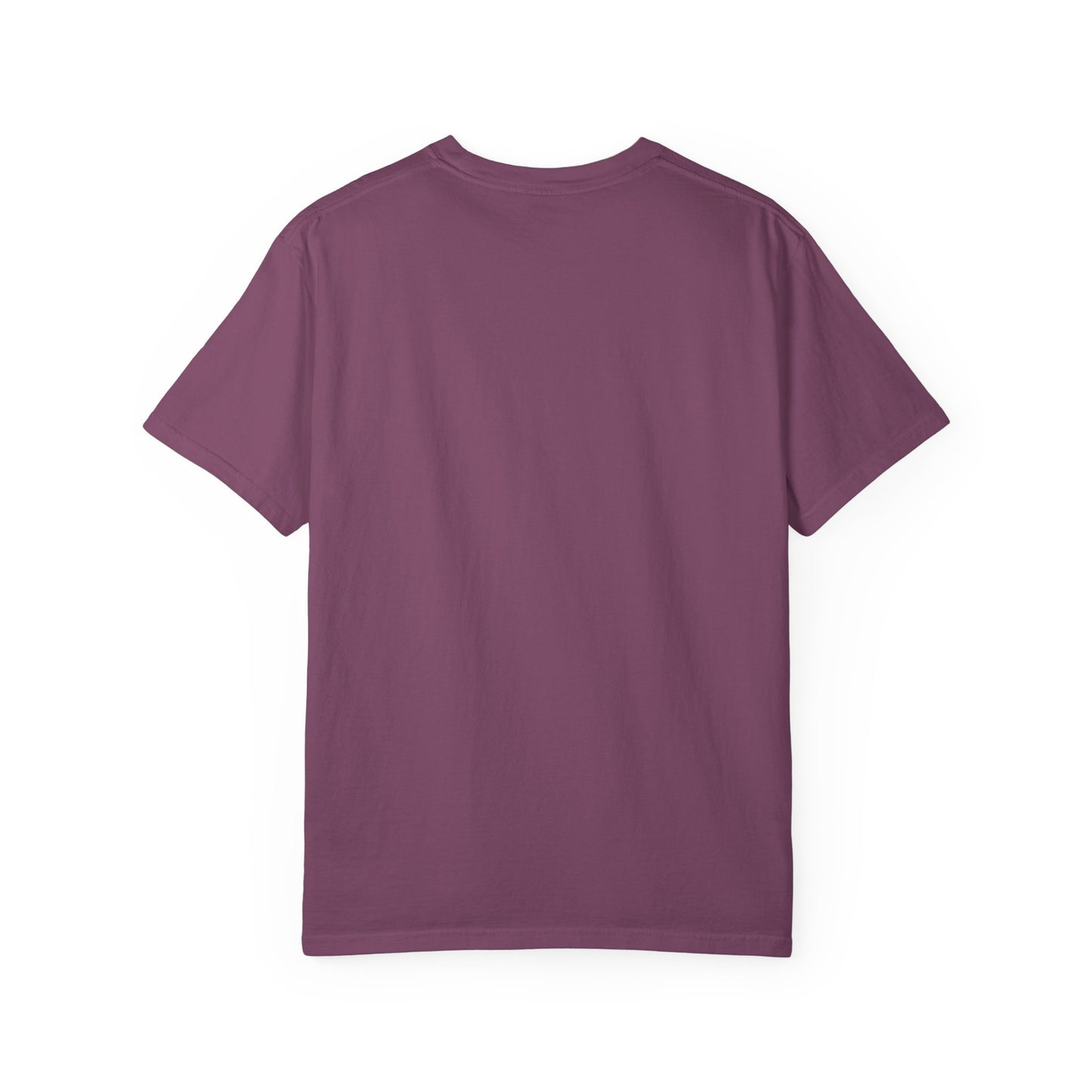 “SLOSW” Stoney Wives Beach Club | Comfort Colors Graphic T-Shirt | The Secret Lives of Stoney Wives Podcast Merch | Retro Summer Tee