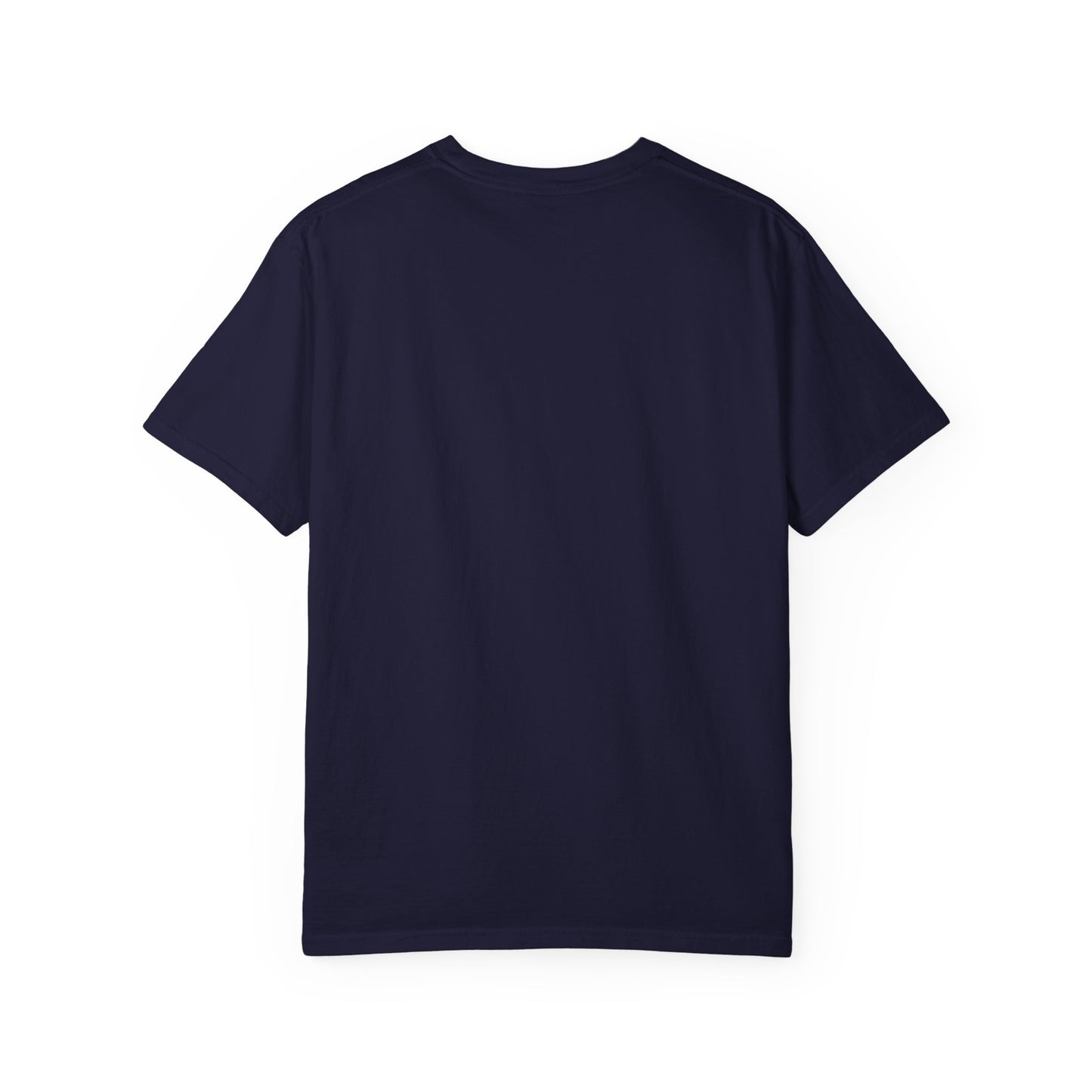“SLOSW” Stoney Wives Beach Club | Comfort Colors Graphic T-Shirt | The Secret Lives of Stoney Wives Podcast Merch | Retro Summer Tee
