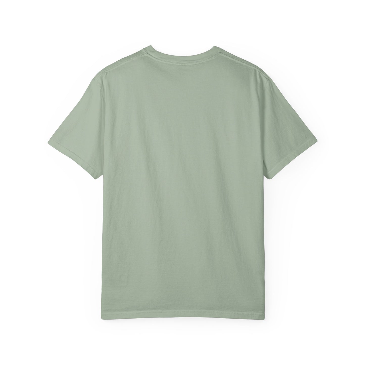 “SLOSW” Stoney Wives Beach Club | Comfort Colors Graphic T-Shirt | The Secret Lives of Stoney Wives Podcast Merch | Retro Summer Tee